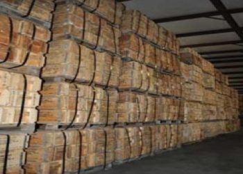 Vitalii Ignatiev, despre situația la Cobasna: Paza depozitelor este organizată în regim de vigilență maximă | VIDEO