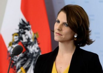 В Австрии не видят Украину в ЕС ближайшие десять лет