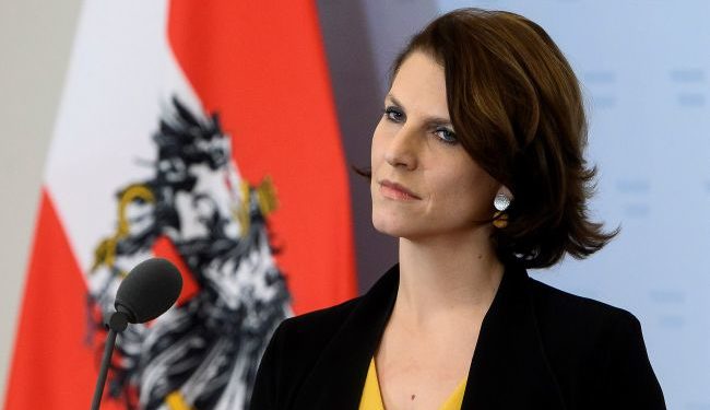 В Австрии не видят Украину в ЕС ближайшие десять лет