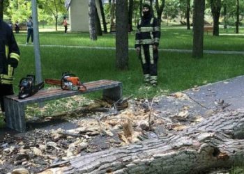 Tragedia din parcul „Alunelul”, din capitală. Procuratura a pornit dosar penal. Primarul capitalei cere suspendarea din funcție a șefului ÎM „Spații Verzi” | VIDEO