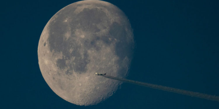 Oamenii de știință au reușit să cultive în premieră plante în solul adus de pe Lună