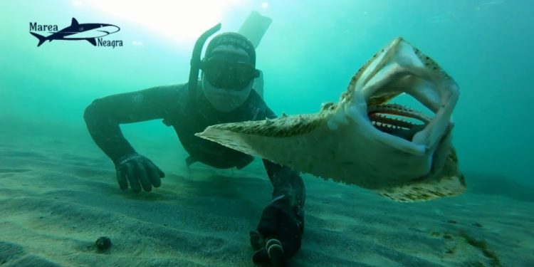 Record mondial la scufundări nautice, cu ajutorul unui echipament elaborat în Moldova