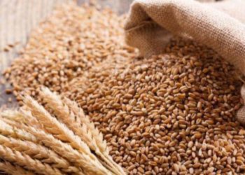 Ministrul Agriculturii, despre securitatea alimentară: Din recolta anului trecut au rămas sute de mii de tone de produse agricole de primă necesitate | VIDEO