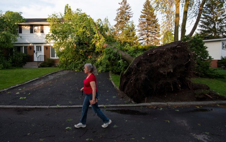 Furtuni violente în Canada. Cel puțin patru persoane au murit, iar 900.000 de locuințe au rămas fără curent electric | FOTO/VIDEO