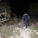 Doi minori de 10 și 14 ani s-au rătăcit în pădure. Au fost depistați de pompieri și salvatori