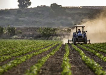 S-a dat start depunerii cererilor de solicitare a compensației parțiale a accizei la motorină. Precizările AIPA | VIDEO