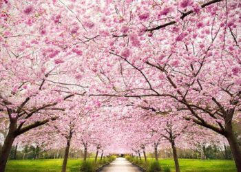 Surprize plăcute din partea vremii. Ce temperaturi ne așteaptă în următoarele zile | VIDEO