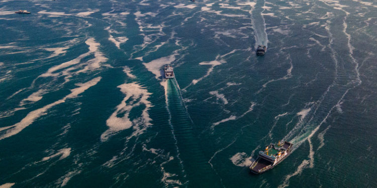 Încălzirea globală a adus lumea în fața celei mai mari extincții a vieții marine din ultimii 250 de milioane de ani