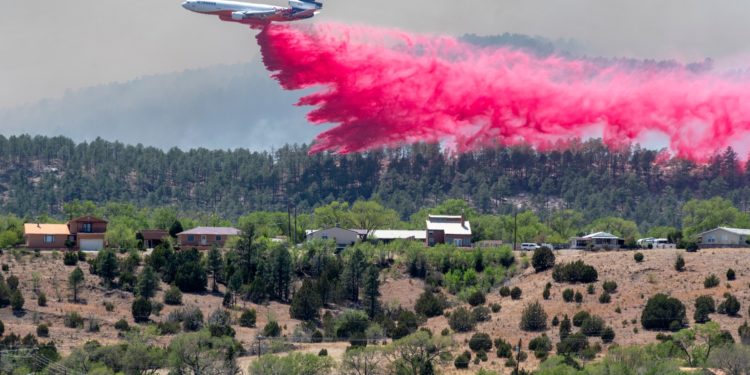 „Aceste pământuri nu vor mai fi niciodată la fel”. Mega-incendiul din New Mexico nu poate fi controlat, Biden declară stare de dezastru