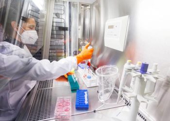 В ВОЗ не уверены, можно ли полностью сдержать распространение оспы обезьян