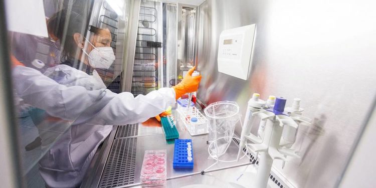 В ВОЗ не уверены, можно ли полностью сдержать распространение оспы обезьян