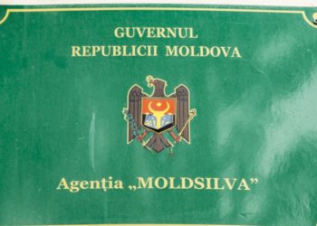 Агентство Moldsilva осталось без руководства