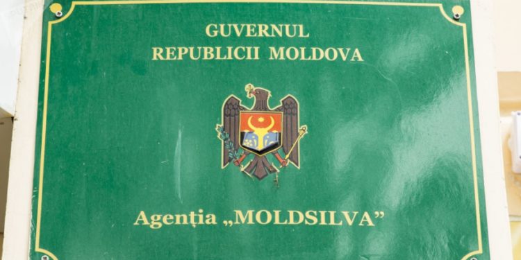 Агентство Moldsilva осталось без руководства