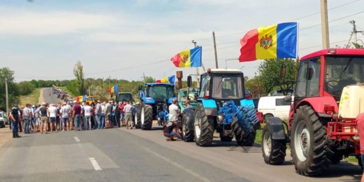 Молдавские фермеры готовы выйти на протест, но не в столице, а в районах
