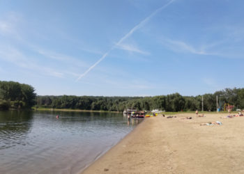 В Вадул-луй-Водах обнаружен холерный вибрион