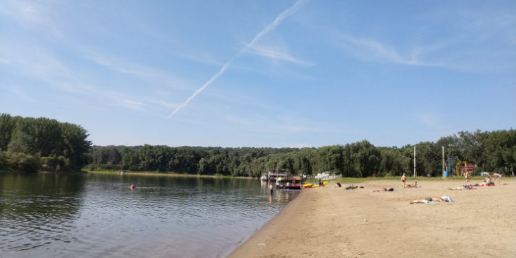 В Вадул-луй-Водах обнаружен холерный вибрион
