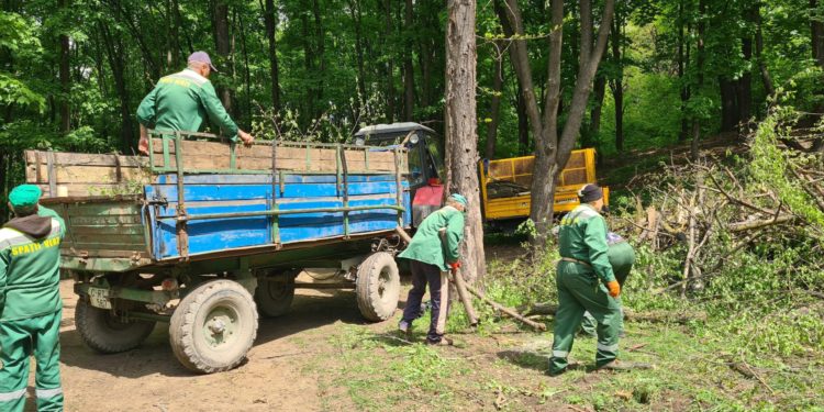 Стало известно, кто возглавит муниципальное управление Зеленого хозяйства