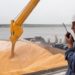 В Турции заявили о конструктивных переговорах с РФ по «зерновому вопросу»