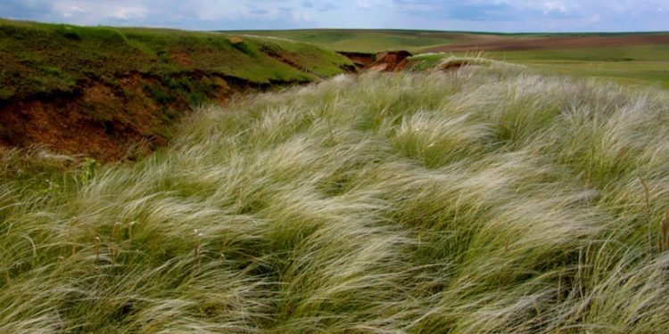 Cod galben de vânt puternic în toată țara. Riscuri și recomandări
