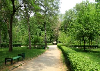 В столичных парках будет ограничен доступ для транспорта