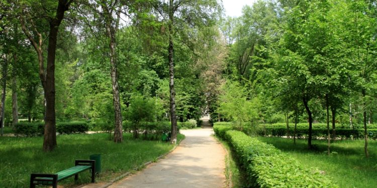 В столичных парках будет ограничен доступ для транспорта