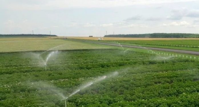 В Молдове планируют восстановить центральные ирригационные системы