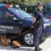 Sărbătoare la Poliția de Frontieră. Autoritatea împlinește 30 de ani de înființare | VIDEO