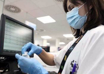 ВОЗ переименует вирус оспы обезьян по просьбе ученых