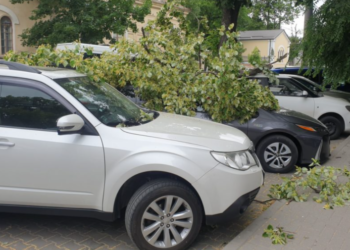 Vântul a făcut ravagii în Chișinău. Mai multe crengi au căzut peste mașinile parcate în curțile blocurilor