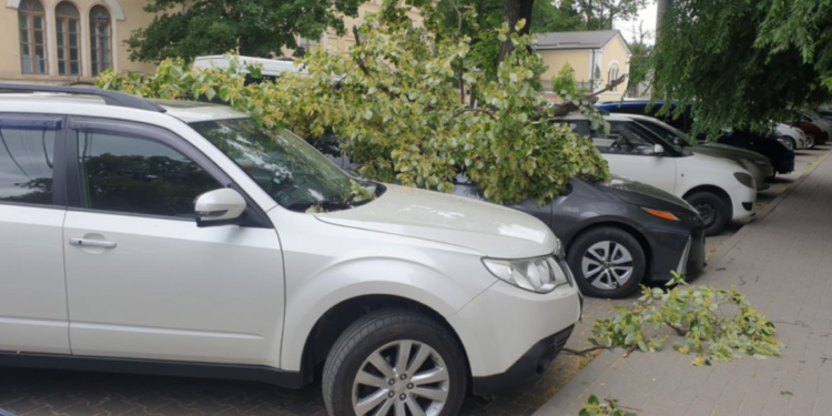 Vântul a făcut ravagii în Chișinău. Mai multe crengi au căzut peste mașinile parcate în curțile blocurilor