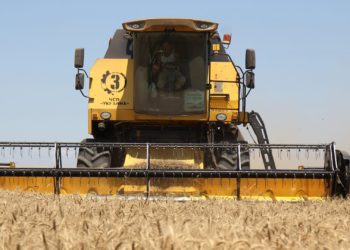 Украина назвала условия для экспорта зерна