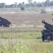 Румыния впервые провела стрельбы из HIMARS