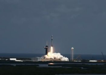 SpaceX вывела в космос полсотни спутников Starlink