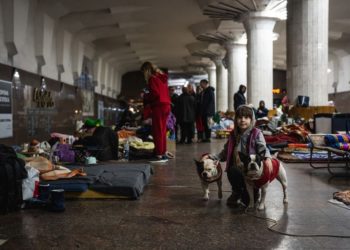 ООН: С начала войны почти 14 млн украинцам пришлось покинуть свои дома