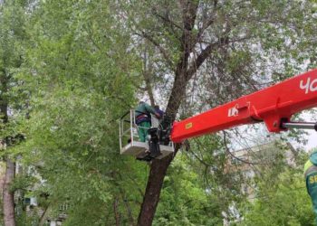 La ce etapă este dosarul privind decesul copilului din parcul Alunelul? Ceban anunță defrișări și pe timp de noapte