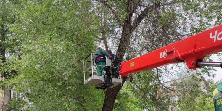 La ce etapă este dosarul privind decesul copilului din parcul Alunelul? Ceban anunță defrișări și pe timp de noapte