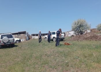 Alertă la Căușeni: Lupii au dat buzna într-o stână și au sfâșiat trei bovine | VIDEO