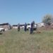 Alertă la Căușeni: Lupii au dat buzna într-o stână și au sfâșiat trei bovine | VIDEO