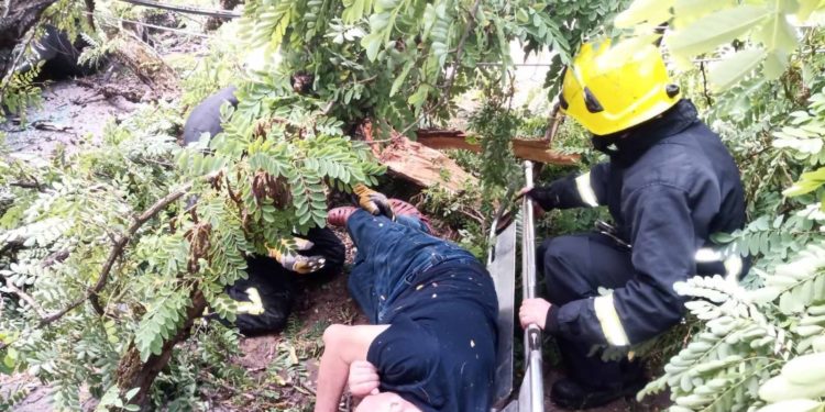 Pompierii au salvat un bărbat blocat sub un arbore căzut