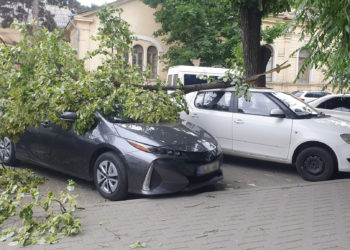 В столице упавшая из-за сильного ветра ветка повредила два автомобиля | VIDEO