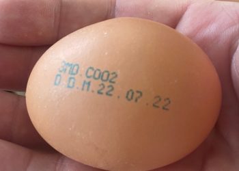 Un lot de ouă, retras din vânzare din cauza Salmonellei