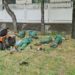 Un grup de muncitori de la spații verzi, surprinși cum fac „amiaza” pe una din străzile centrale ale capitalei