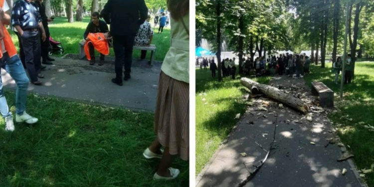 Cazul decesului fetiței de un an în Parcul „Alunelul” după ce un arbore a căzut peste ea. Procurorii au un bănuit