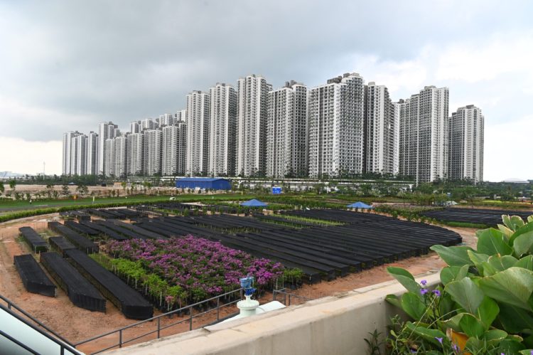 Orașul fantomă de 100 de miliarde de dolari din Malaezia. De ce a fost abandonat paradisul de lux plin de zgârie-nori | FOTO