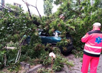 Un bărbat de 63 de ani a a ajuns la spital după ce un arbore s-a prăbușit peste el, în centrul capitalei. Copacul a avariat grav și o mașină | VIDEO