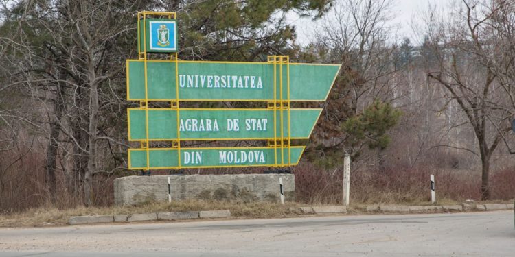 Технический университет поглотит Аграрный, а Педагогический — Тираспольский. Минпросвещения о реформе вузов