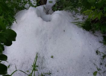 „Au fost afectate plantele, căpșuna a fost distrusă”. Agricultorii din Soroca au suferit pierderi enorme după ploaia cu grindină de joi seara | VIDEO