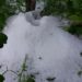 „Au fost afectate plantele, căpșuna a fost distrusă”. Agricultorii din Soroca au suferit pierderi enorme după ploaia cu grindină de joi seara | VIDEO