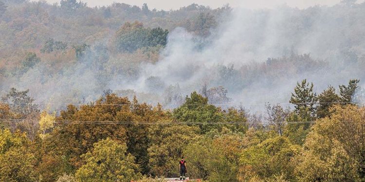 В Словении произошел крупнейший лесной пожар в истории страны