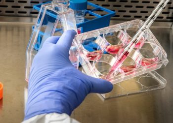 Власти США начали обсуждать вопрос признания оспы обезьян ЧС в здравоохранении